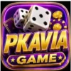 PKAVIA Game